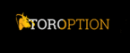 TorOption review