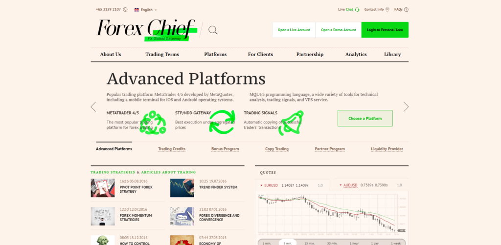 ForexChief Homepage Design