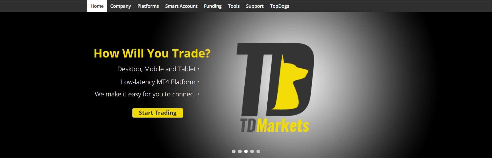 TDMarkets Review