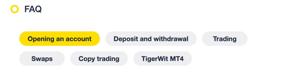 TigerWit education review