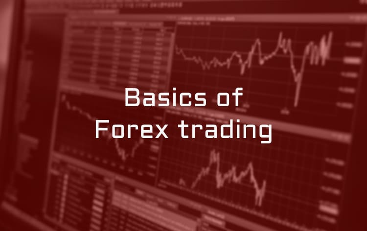 Basics Of Forex Trading How To Become A Successful Trader basics-of-forex-trading-how-to-become-a-successful-trader