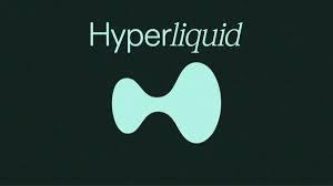 Hyperliquid DEX Review