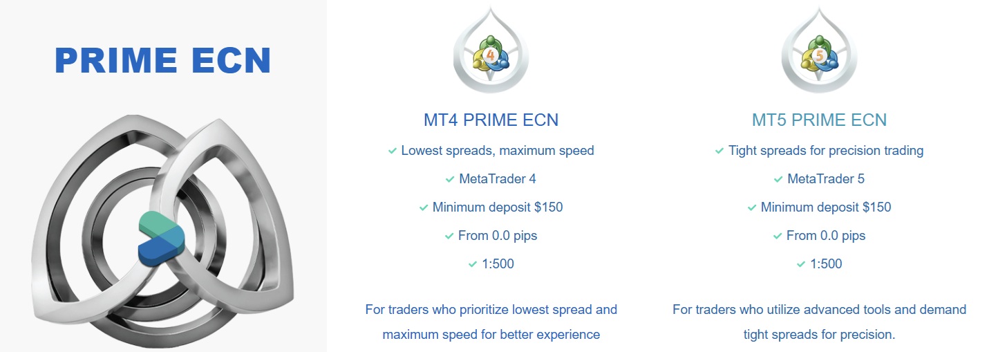 bold prime accounts
