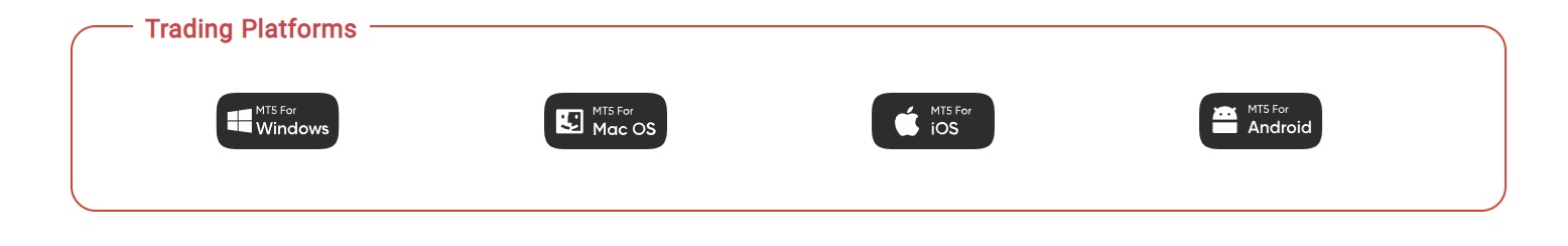 stp trading platforms